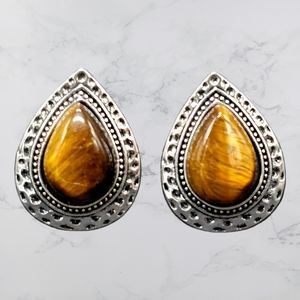 🤎'Desert Glow' Silver with Brown Tigers Eye Clip-on Earrings Paparazzi🤎